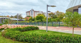 Профессиональное озеленение улиц в Тейково в октябре
