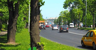 Посадка деревьев и кустарников в Тейково — стоимость от 1305 руб.